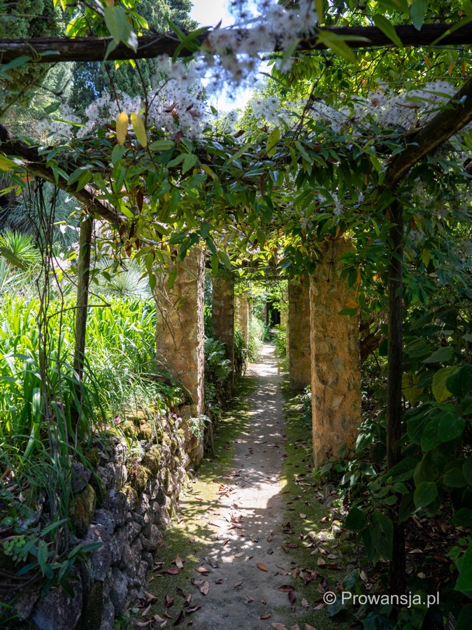 Ogród Serre de la Madone, Menton