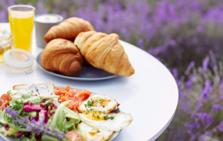 Czego warto spróbować w Prowansji? (źródło: zam.)