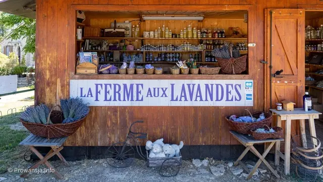 Lawendowa ferma w regionie Luberon, Prowansja