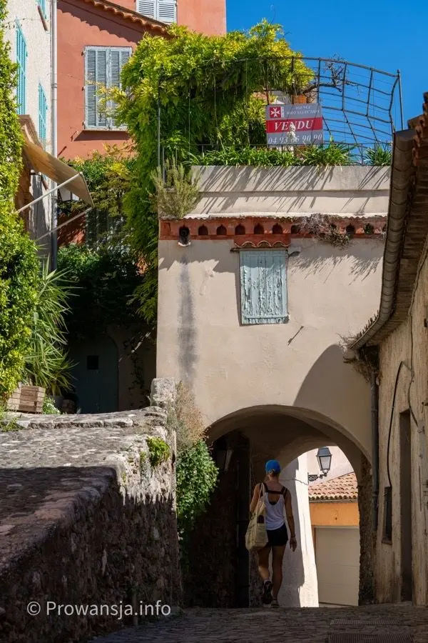 Biot