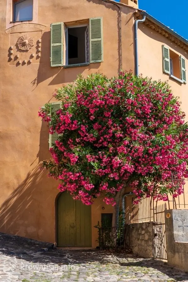 Biot