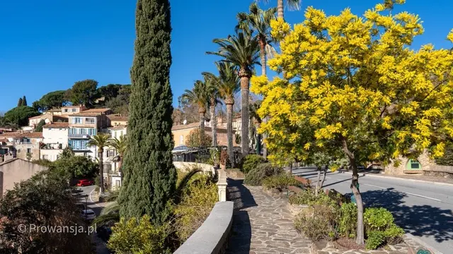Bormes-les-Mimosas