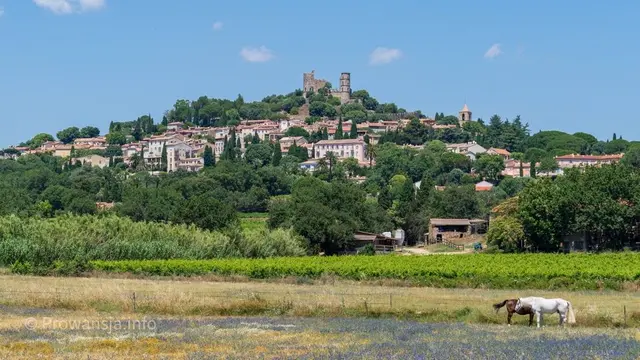 Grimaud