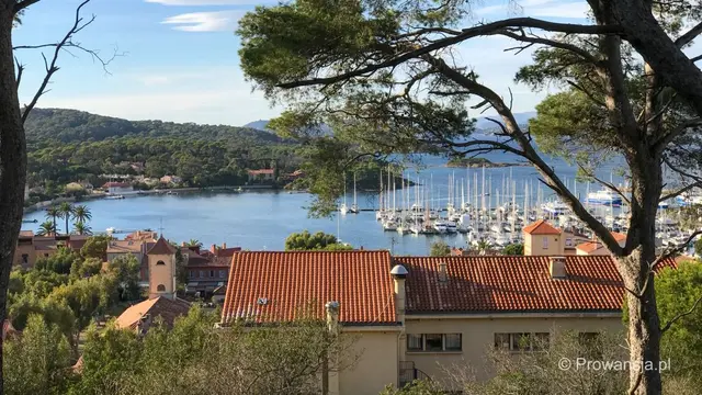 Wyspa Porquerolles