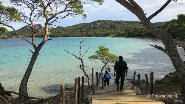 Wyspa Porquerolles