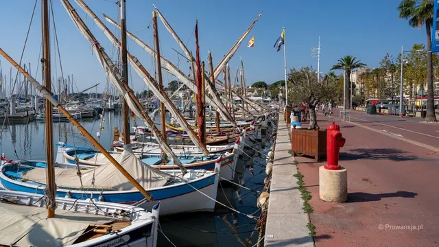 Bandol