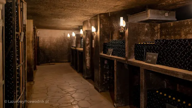Piwnica z winami w Château de Beaucastel koło Châteauneuf-du-Pape