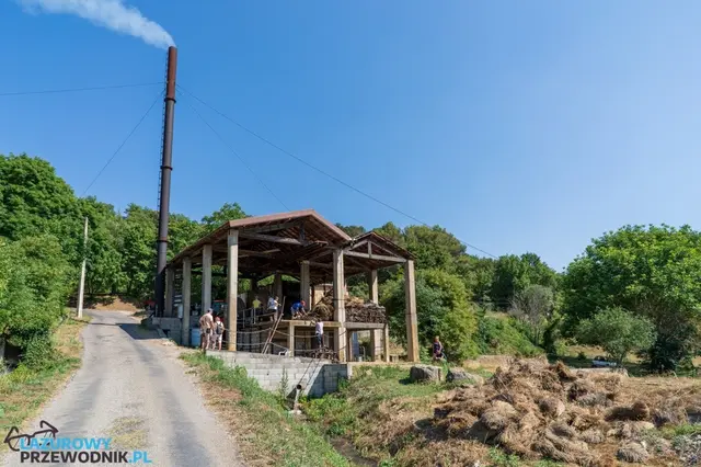 Destylacja lawendy metodą tradycyjną